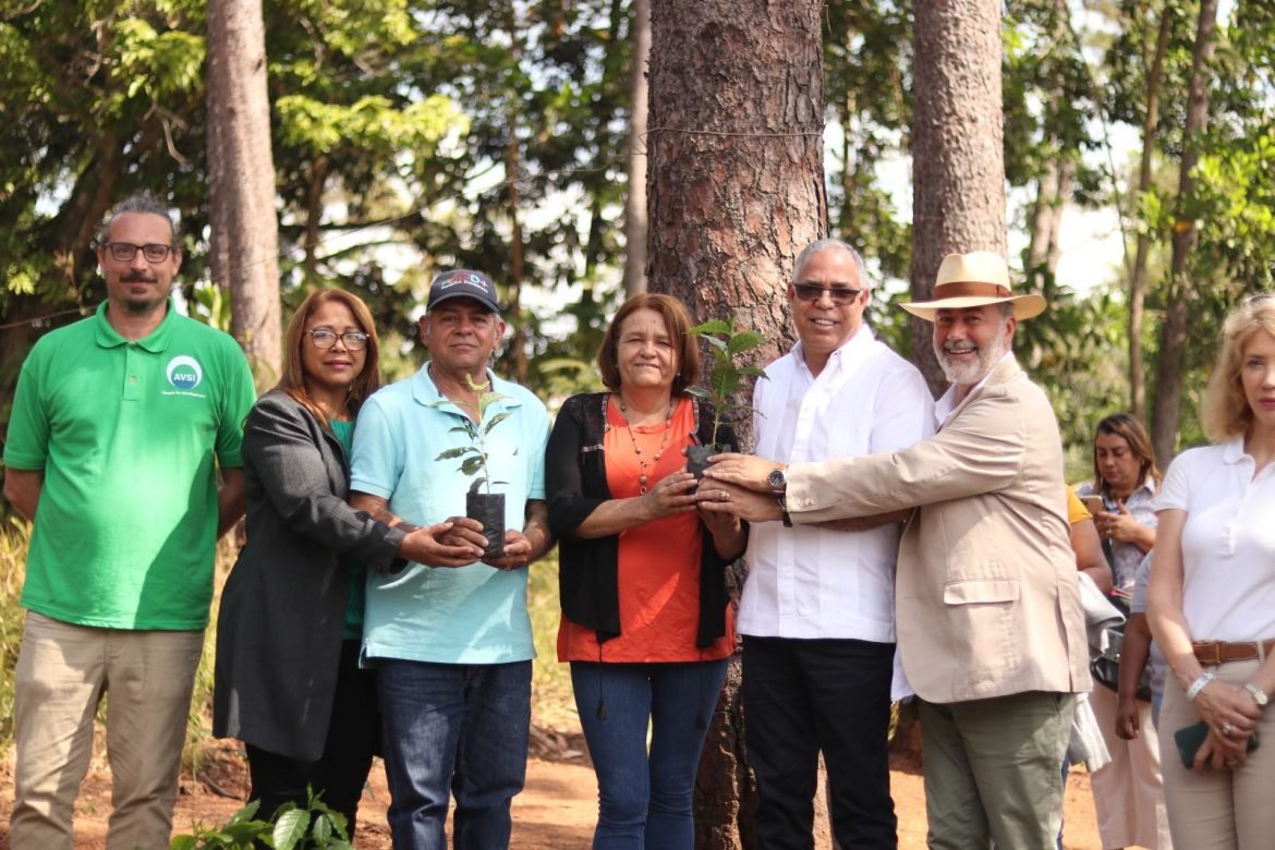 REFORESTA
