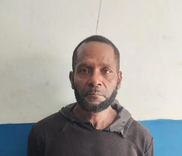 arresto-presunto-autor-muerte-ciudadana-alemana-en-samana-8fa95290-focus-0-0-1200-675