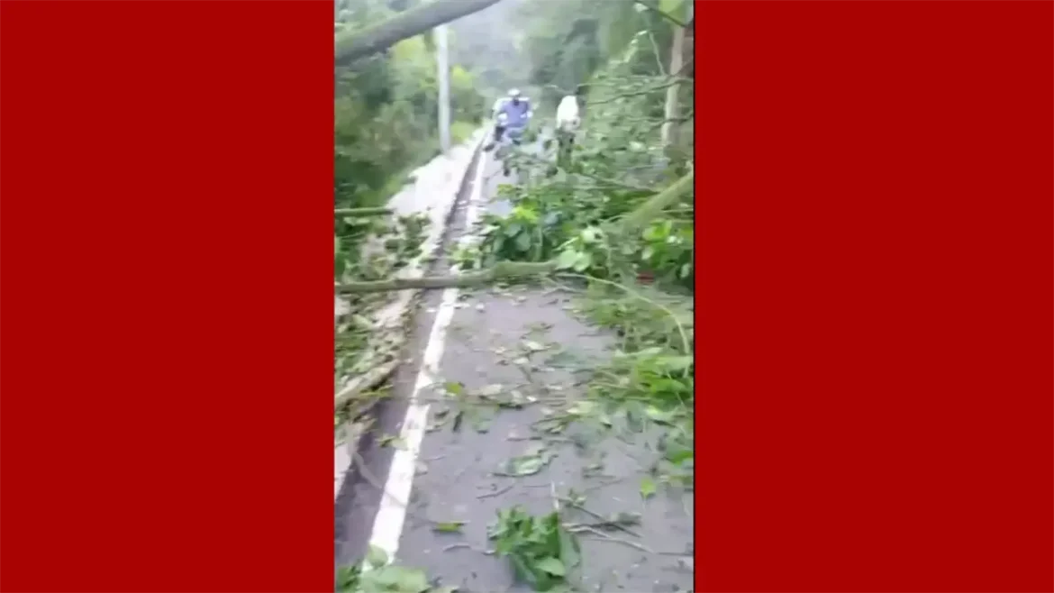 carretera-se-derrumba-en-constanza-20a71b33-focus-0-0-1200-675